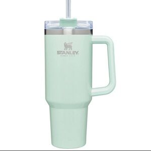 Stanley 40oz Water Bottle in Pearlescent Spearmint